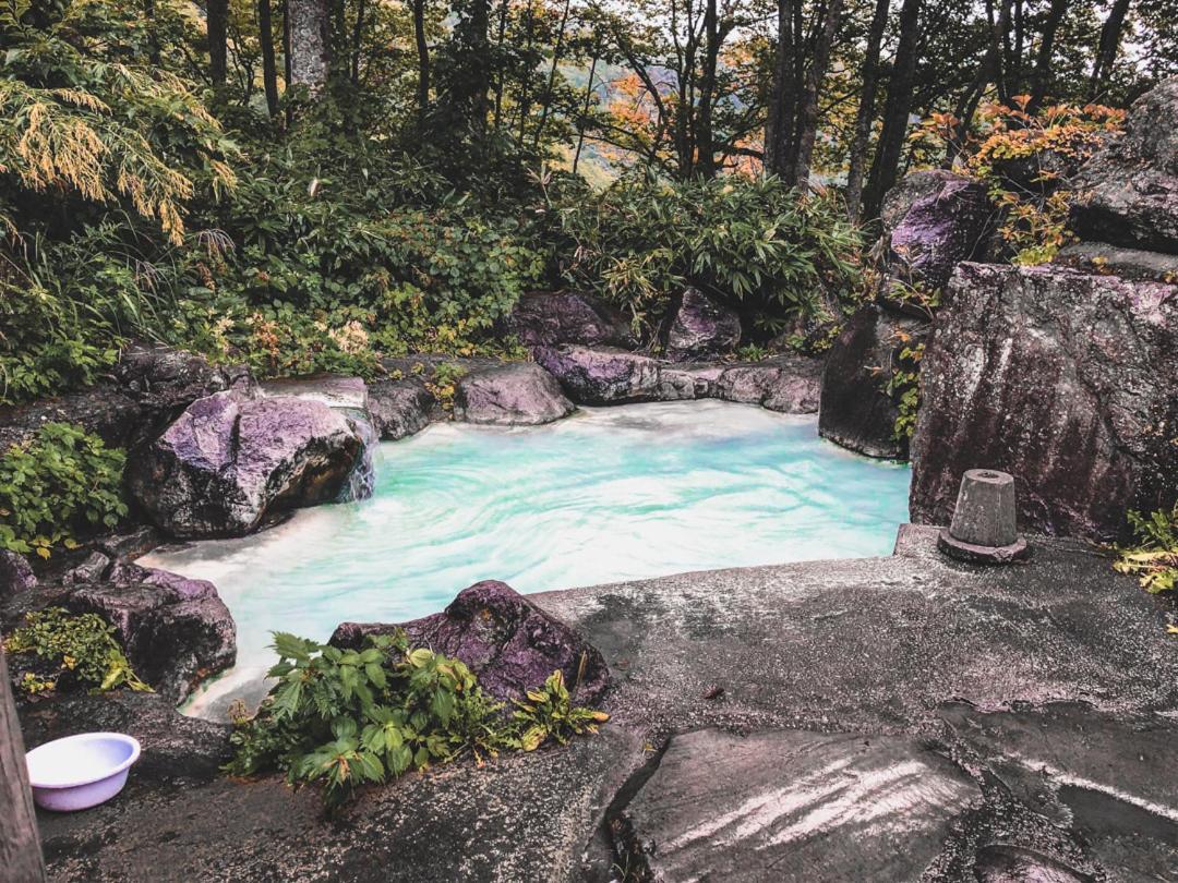 מלון מיוקו Onsen Yado Echo מראה חיצוני תמונה